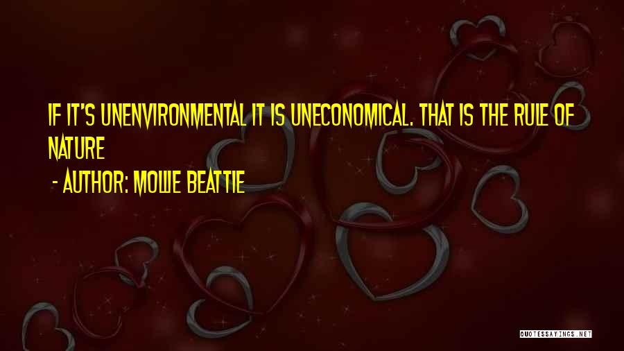 Conservation Of The Environment Quotes By Mollie Beattie