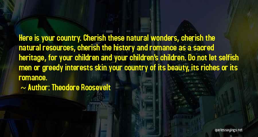 Conservation Of The Environment Quotes By Theodore Roosevelt