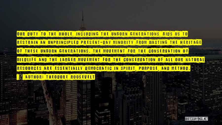 Conservation Of The Environment Quotes By Theodore Roosevelt