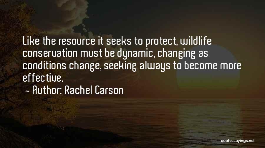 Conservation Of Wildlife Quotes By Rachel Carson