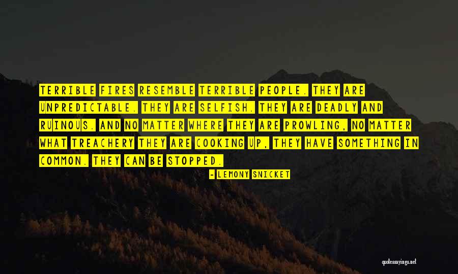 Conservationism Vs Preservationism Quotes By Lemony Snicket Conservationism Vs Preservationism Quotes By Lemony Snicket