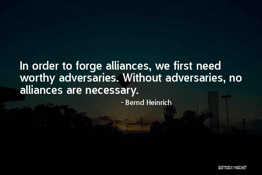 Conservations In Florida Quotes By Bernd Heinrich Conservations In Florida Quotes By Bernd Heinrich