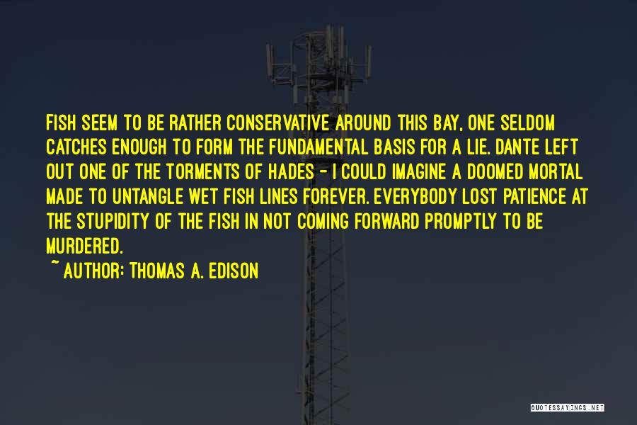 Conservative Stupidity Quotes By Thomas A. Edison