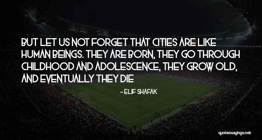 Conservatory Of Music Quotes By Elif Shafak Conservatory Of Music Quotes By Elif Shafak