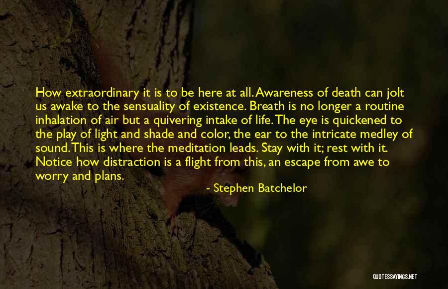 Considerare Quotes By Stephen Batchelor Considerare Quotes By Stephen Batchelor