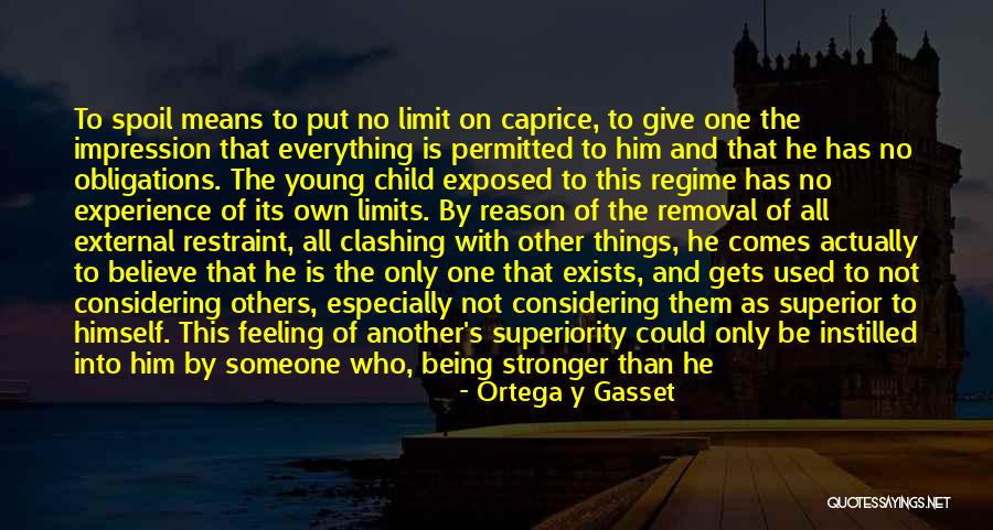 Considering Others Quotes By Ortega Y Gasset