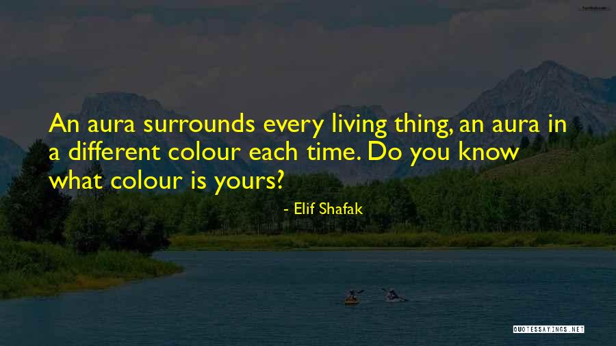 Consistencia Interna Quotes By Elif Shafak Consistencia Interna Quotes By Elif Shafak
