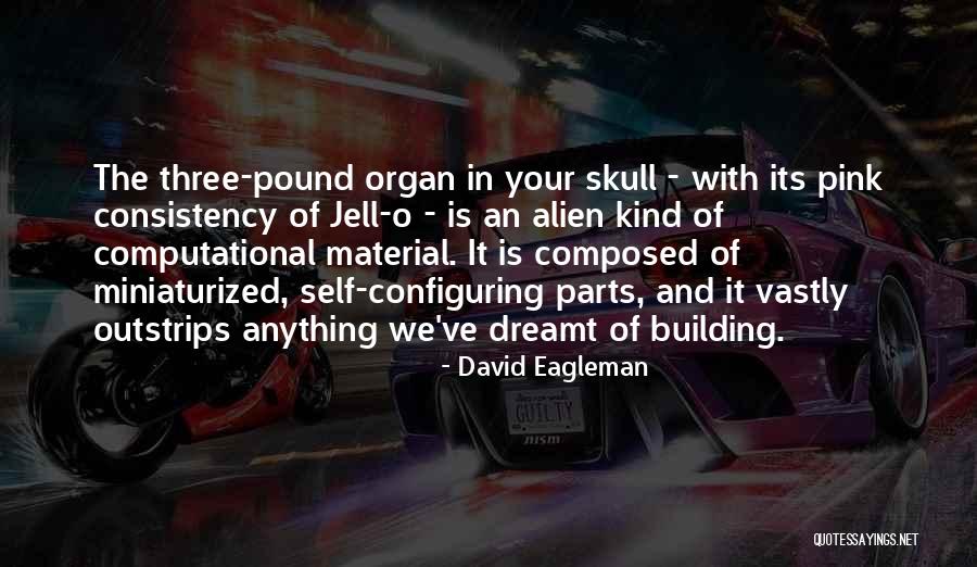 Consistency Quotes By David Eagleman