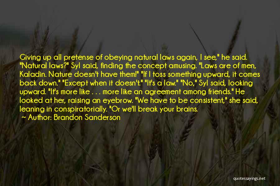 Consistent Friends Quotes By Brandon Sanderson