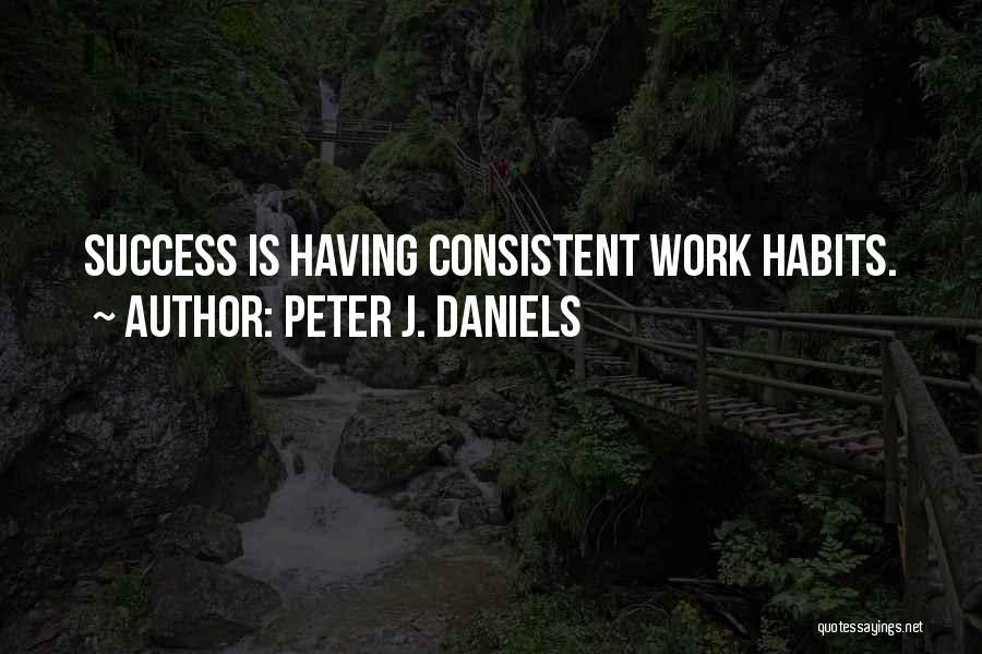 Consistent Success Quotes By Peter J. Daniels