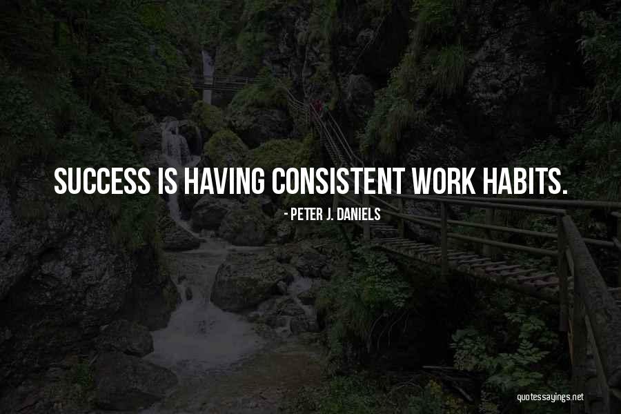 Consistent Success Quotes By Peter J. Daniels