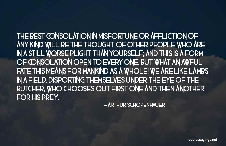 Consolation Quotes By Arthur Schopenhauer