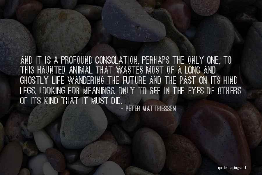 Consolation Quotes By Peter Matthiessen