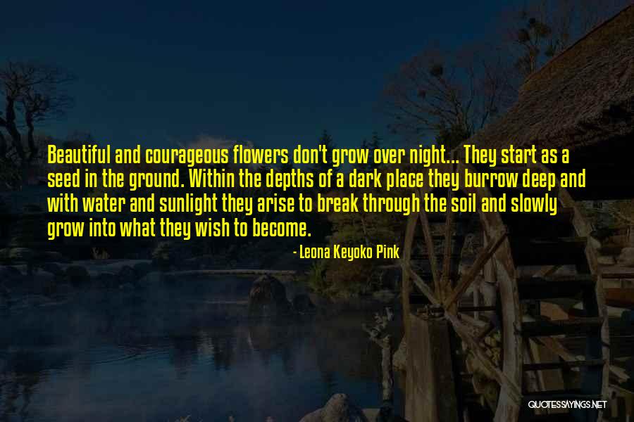 Consolidating Quotes By Leona Keyoko Pink Consolidating Quotes By Leona Keyoko Pink