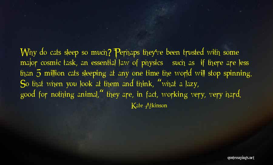 Consolidator Startup Quotes By Kate Atkinson Consolidator Startup Quotes By Kate Atkinson