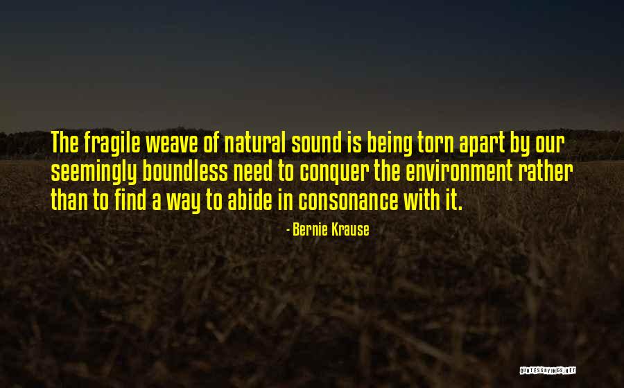 Consonance Quotes By Bernie Krause Consonance Quotes By Bernie Krause