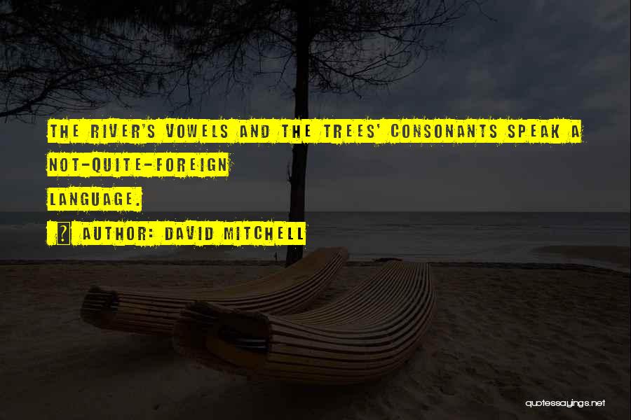 Consonants Quotes By David Mitchell