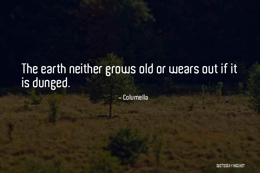 Consors Quotes By Columella Consors Quotes By Columella