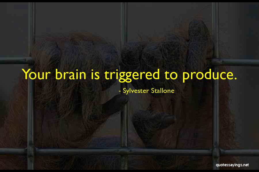 Consorte Definicion Quotes By Sylvester Stallone Consorte Definicion Quotes By Sylvester Stallone