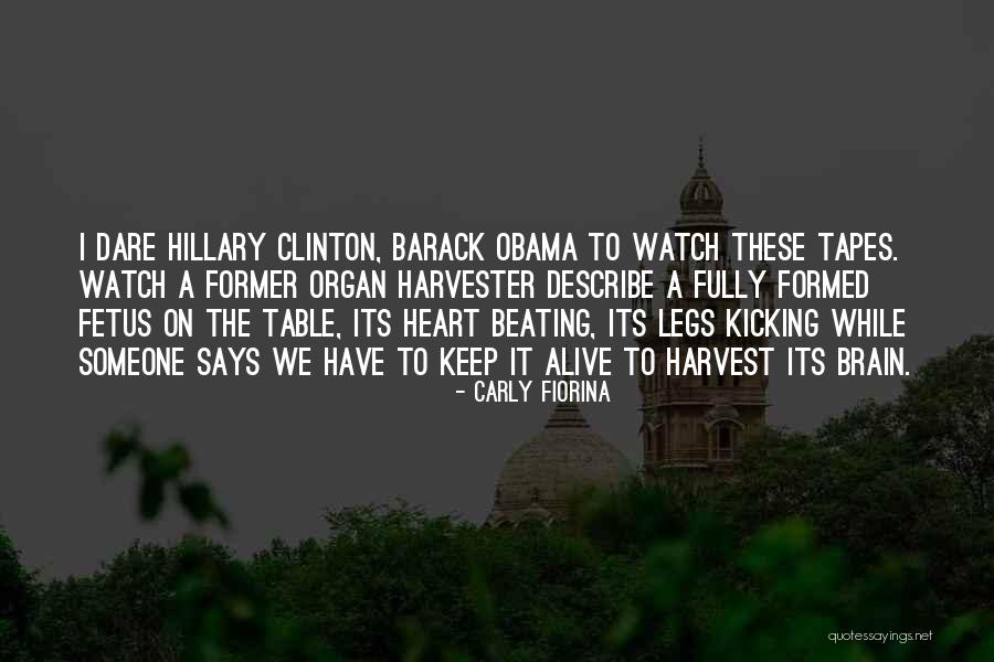 Conspecifics Quotes By Carly Fiorina Conspecifics Quotes By Carly Fiorina