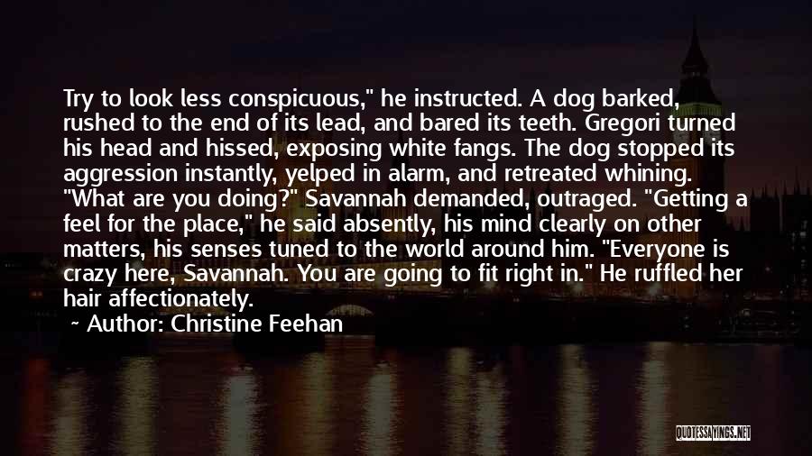 Conspicuous Quotes By Christine Feehan
