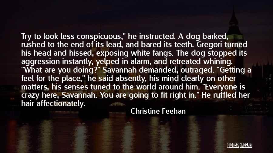 Conspicuous Quotes By Christine Feehan