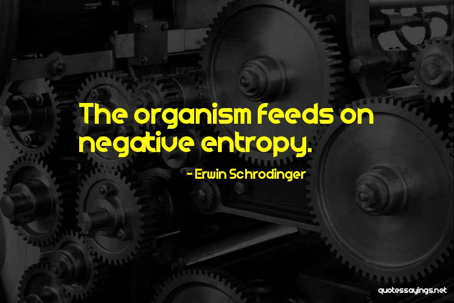 Conspira O Quotes By Erwin Schrodinger Conspira O Quotes By Erwin Schrodinger