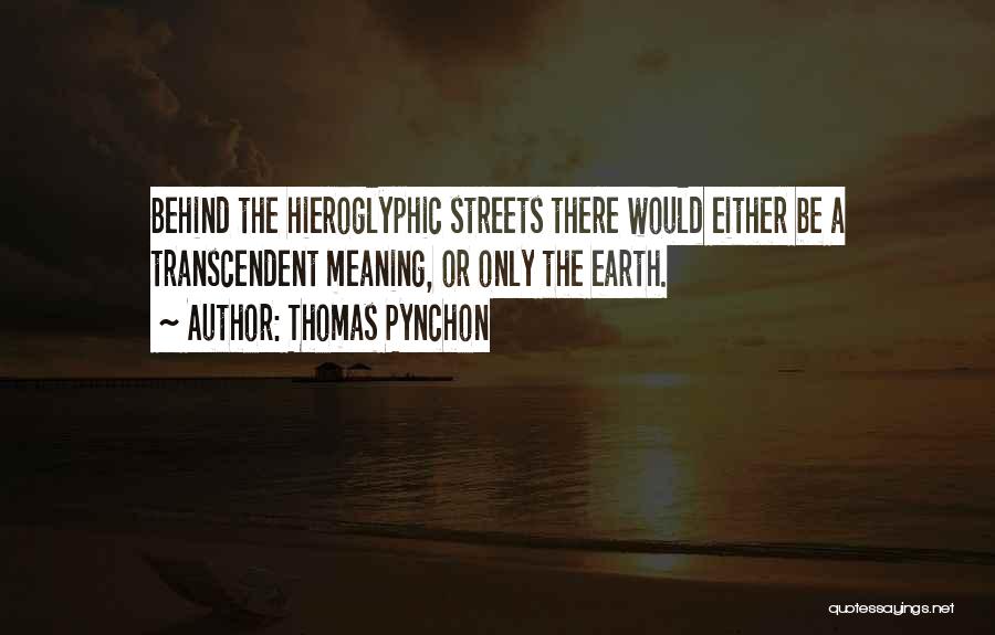 Conspiracy Theories Quotes By Thomas Pynchon