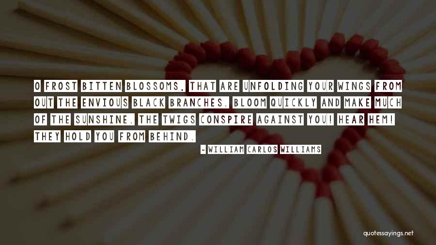 Conspire Against Quotes By William Carlos Williams Conspire Against Quotes By William Carlos Williams