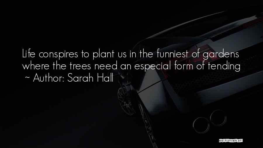 Conspires Quotes By Sarah Hall