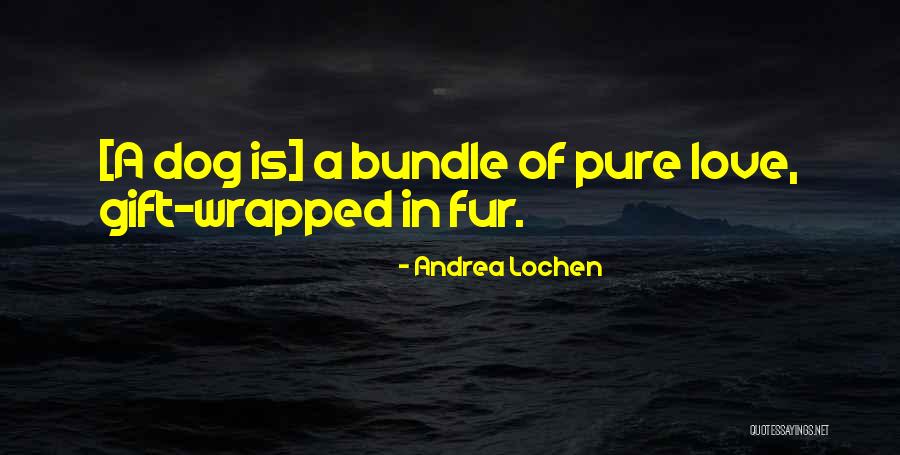 Constance Miller Quotes By Andrea Lochen Constance Miller Quotes By Andrea Lochen