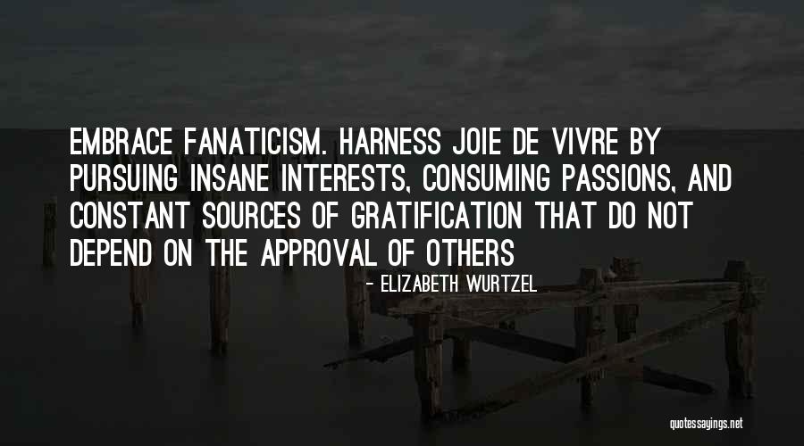 Constant Approval Quotes By Elizabeth Wurtzel Constant Approval Quotes By Elizabeth Wurtzel