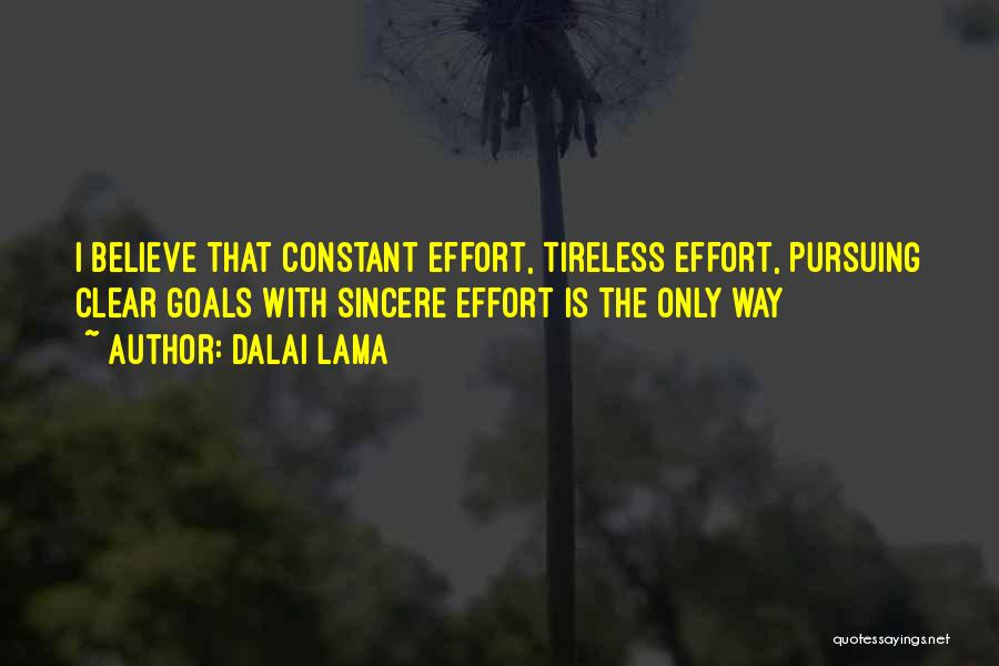 Constant Effort Quotes By Dalai Lama