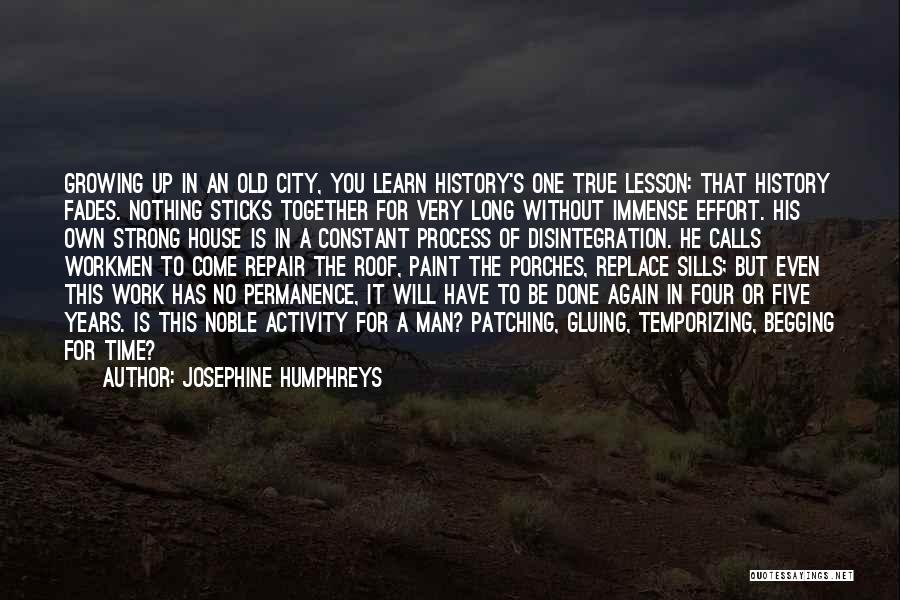 Constant Effort Quotes By Josephine Humphreys