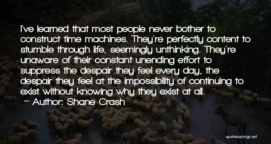 Constant Effort Quotes By Shane Crash