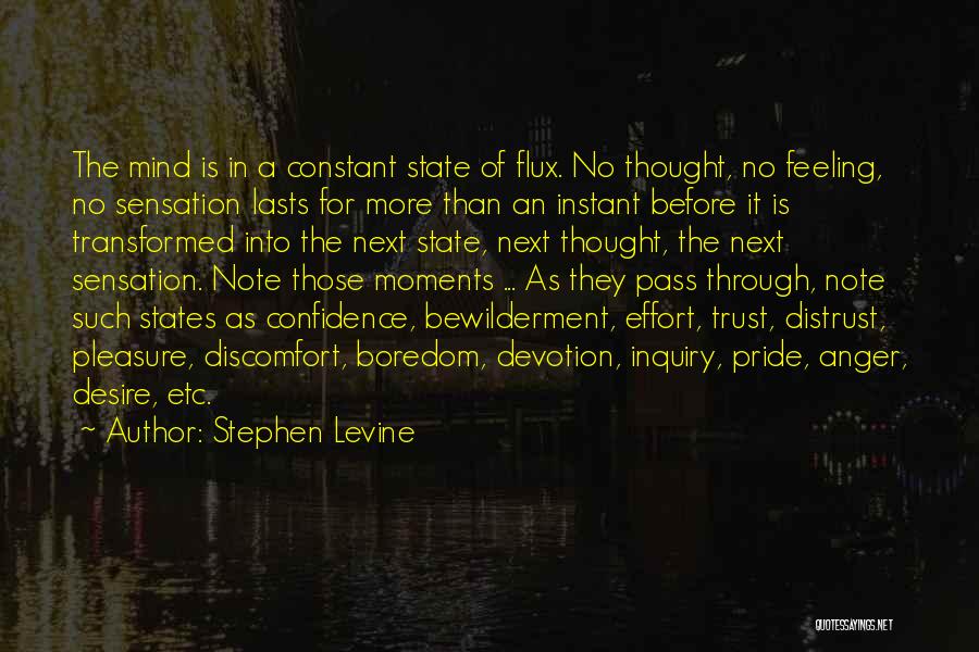 Constant Effort Quotes By Stephen Levine