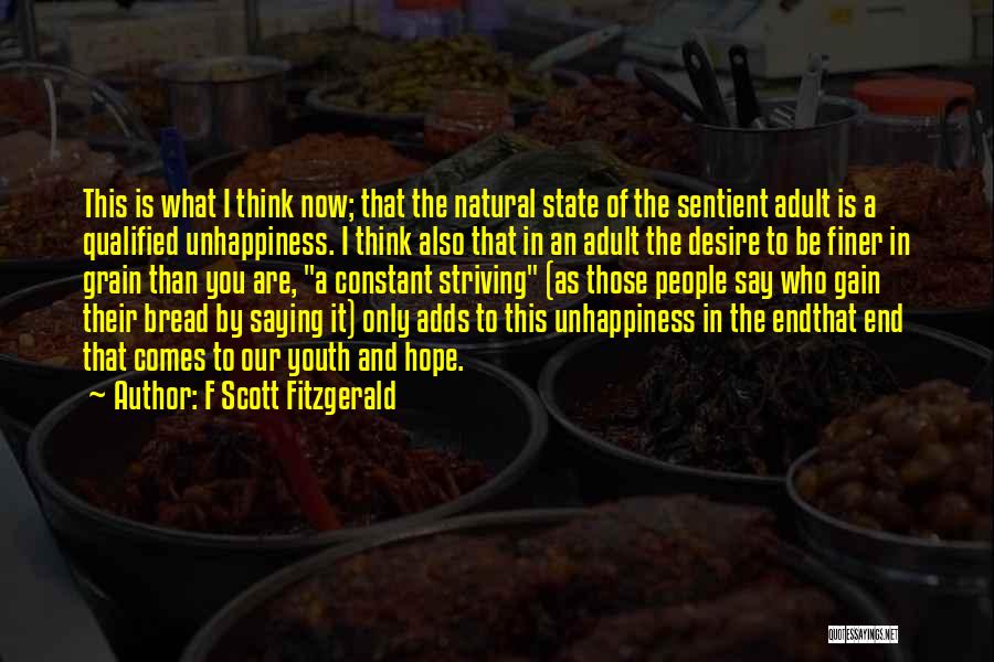 Constant Improvement Quotes By F Scott Fitzgerald
