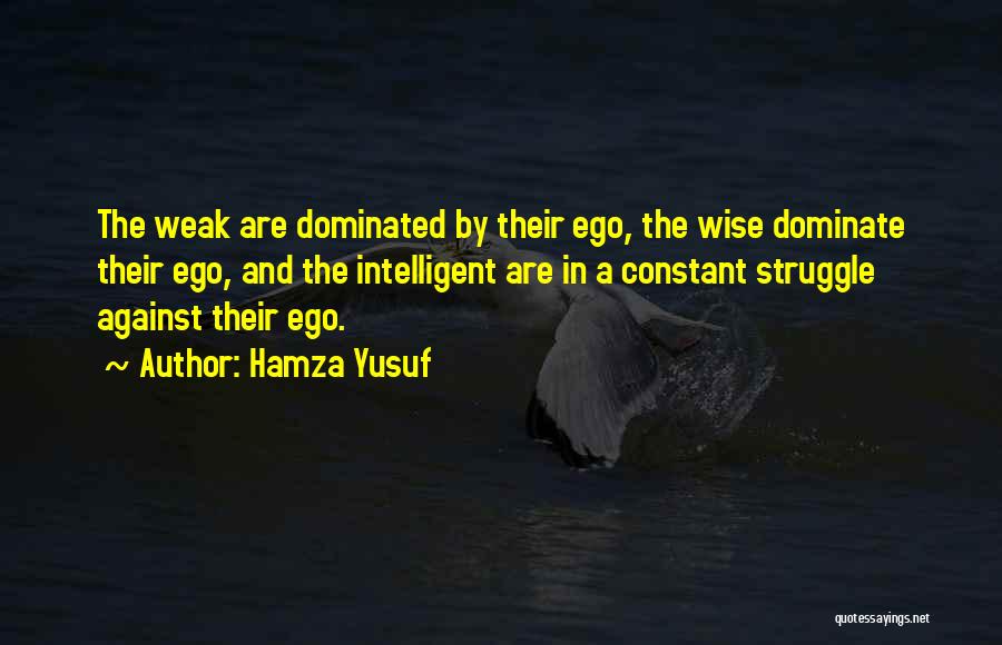 Constant Struggle Quotes By Hamza Yusuf