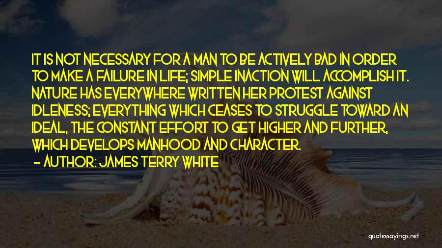 Constant Struggle Quotes By James Terry White