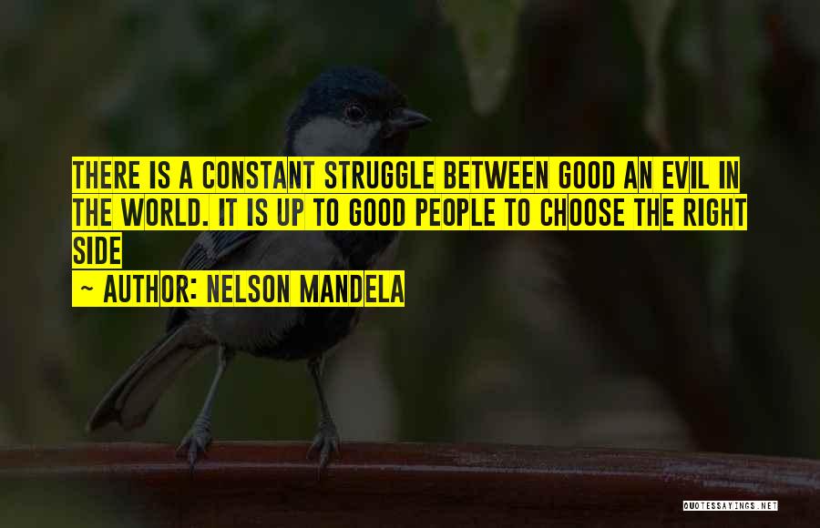 Constant Struggle Quotes By Nelson Mandela