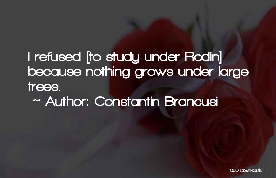 Constantin Brancusi Quotes 283011