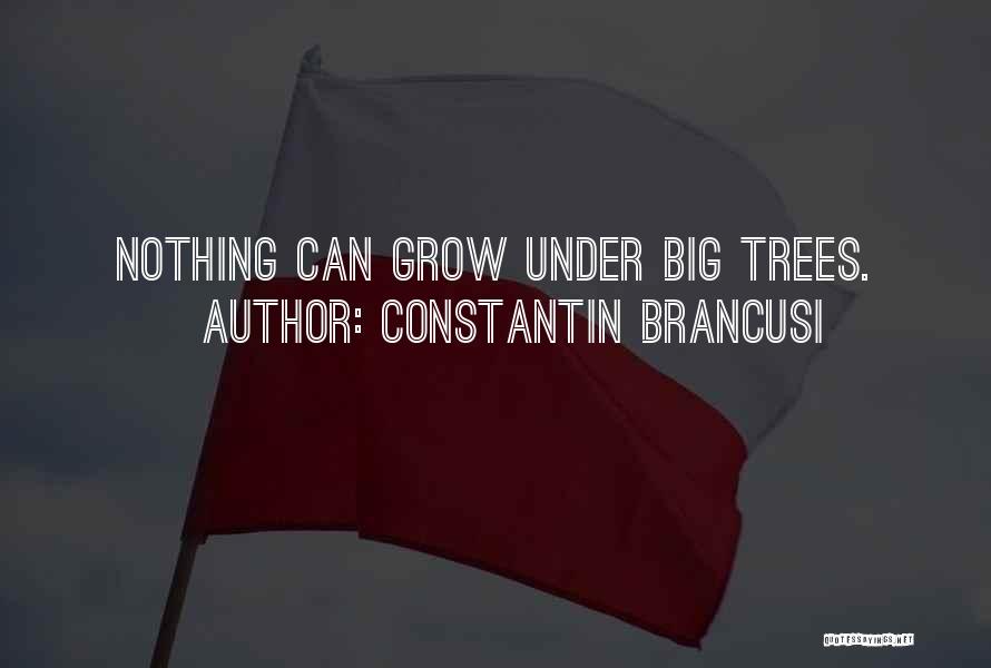 Constantin Brancusi Quotes 93473