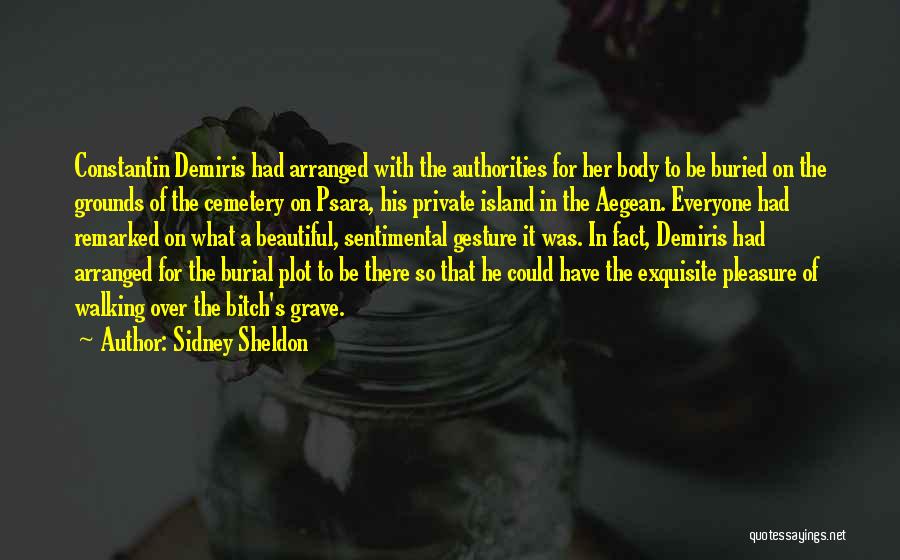 Constantin Demiris Quotes By Sidney Sheldon