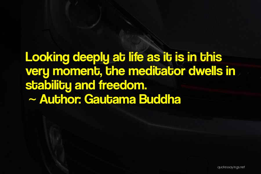 Constantine Hering Quotes By Gautama Buddha