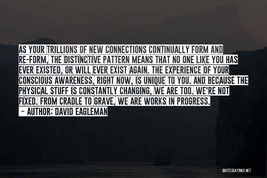 Constantly Changing Quotes By David Eagleman