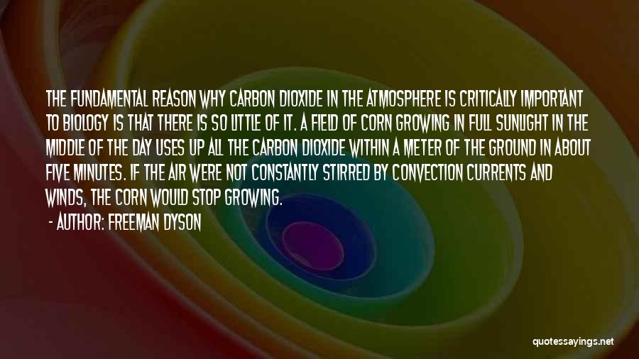 Constantly Growing Quotes By Freeman Dyson