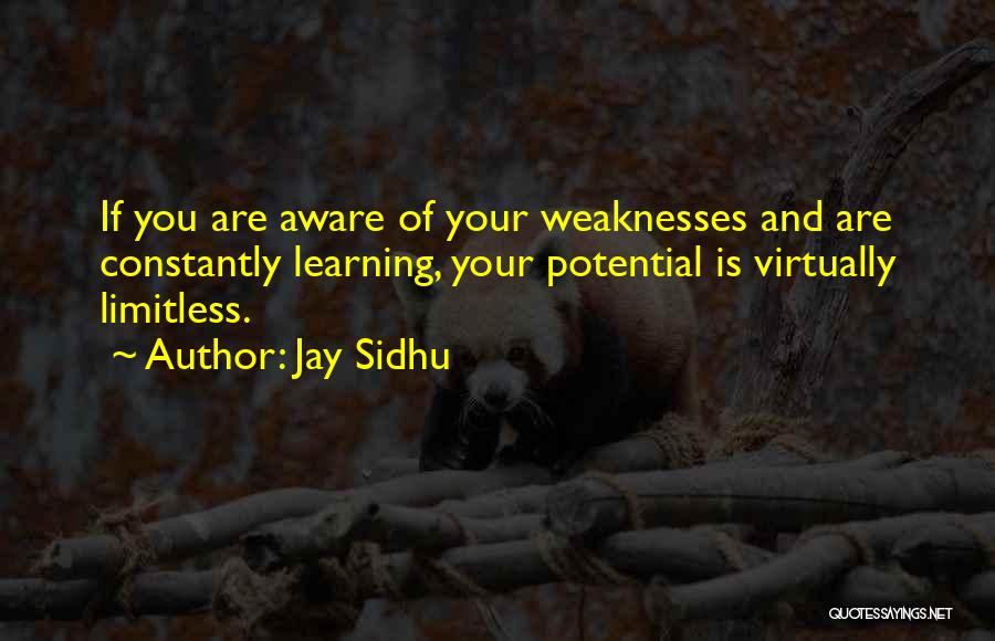 Constantly Learning Quotes By Jay Sidhu