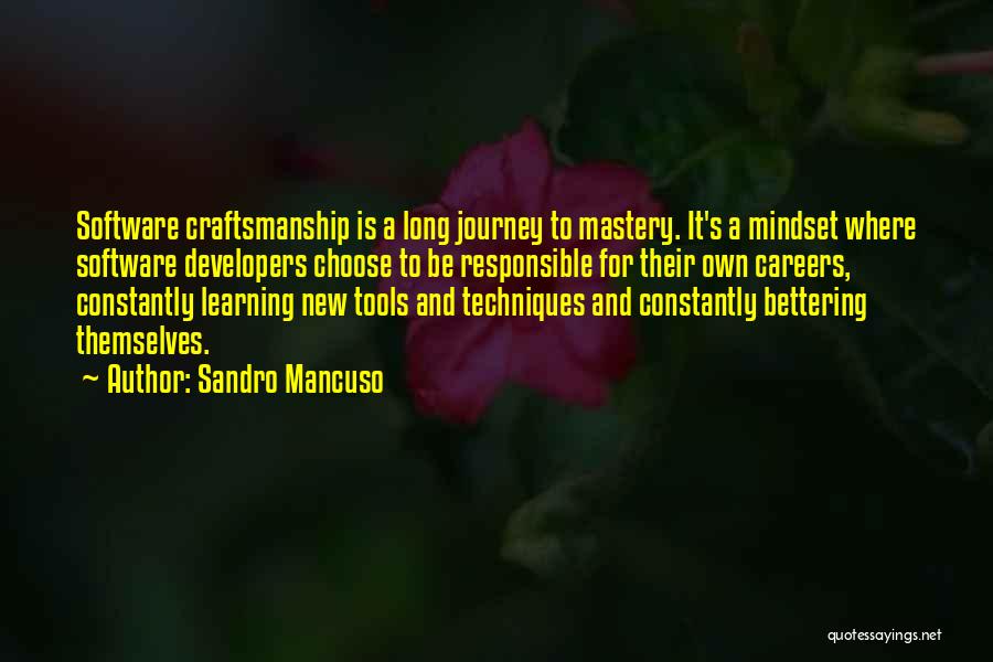 Constantly Learning Quotes By Sandro Mancuso