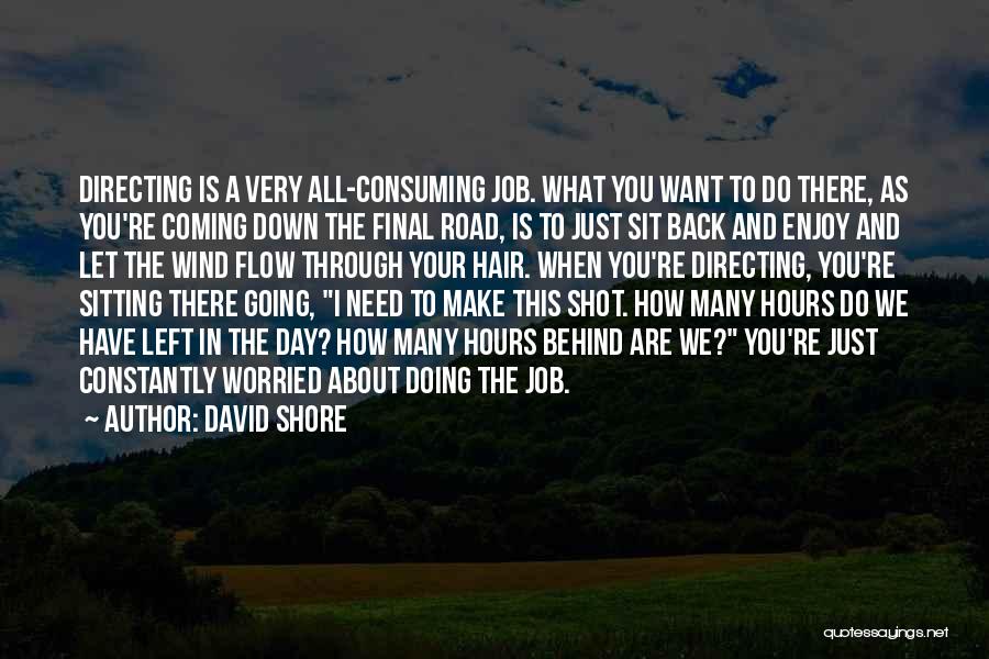 Constantly Let Down Quotes By David Shore