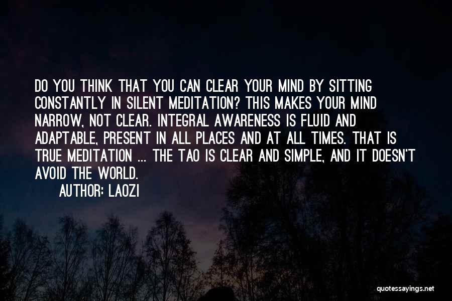 Constantly Thinking Quotes By Laozi